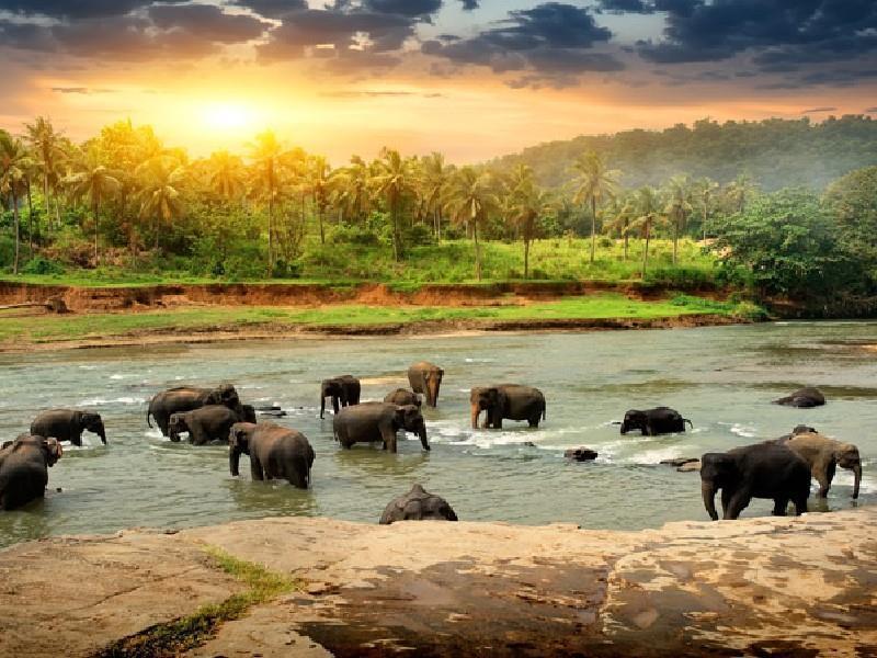 Dolu Dolu Doğa Harikası Sri Lanka Turu Rotası